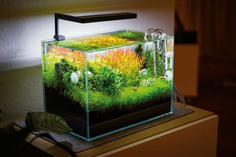 Wissenswertes zu Aquarientechnik