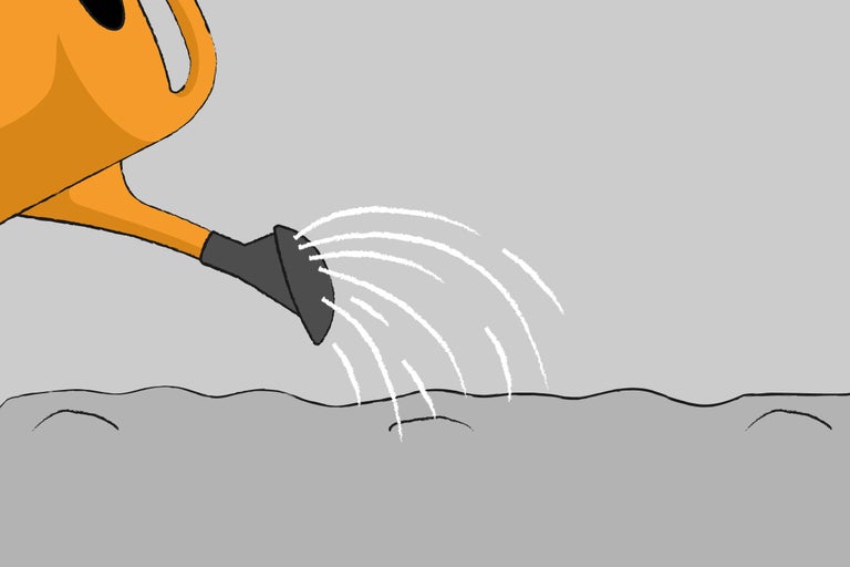 Bewässerung mit einer Gießkanne auf einer Gartenfläche