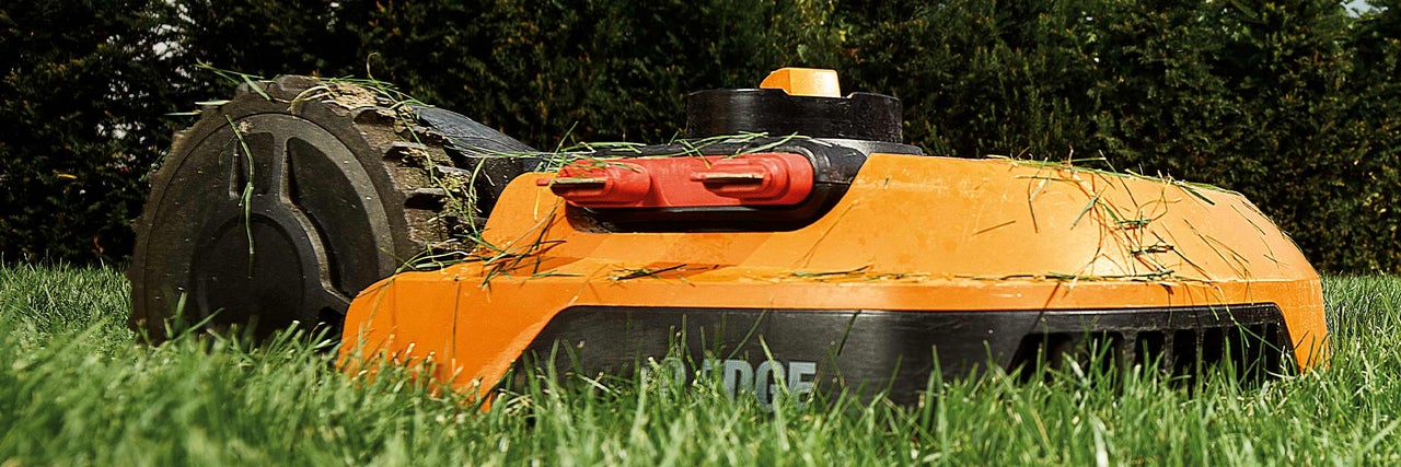 Robot tondeuse Worx sur pelouse