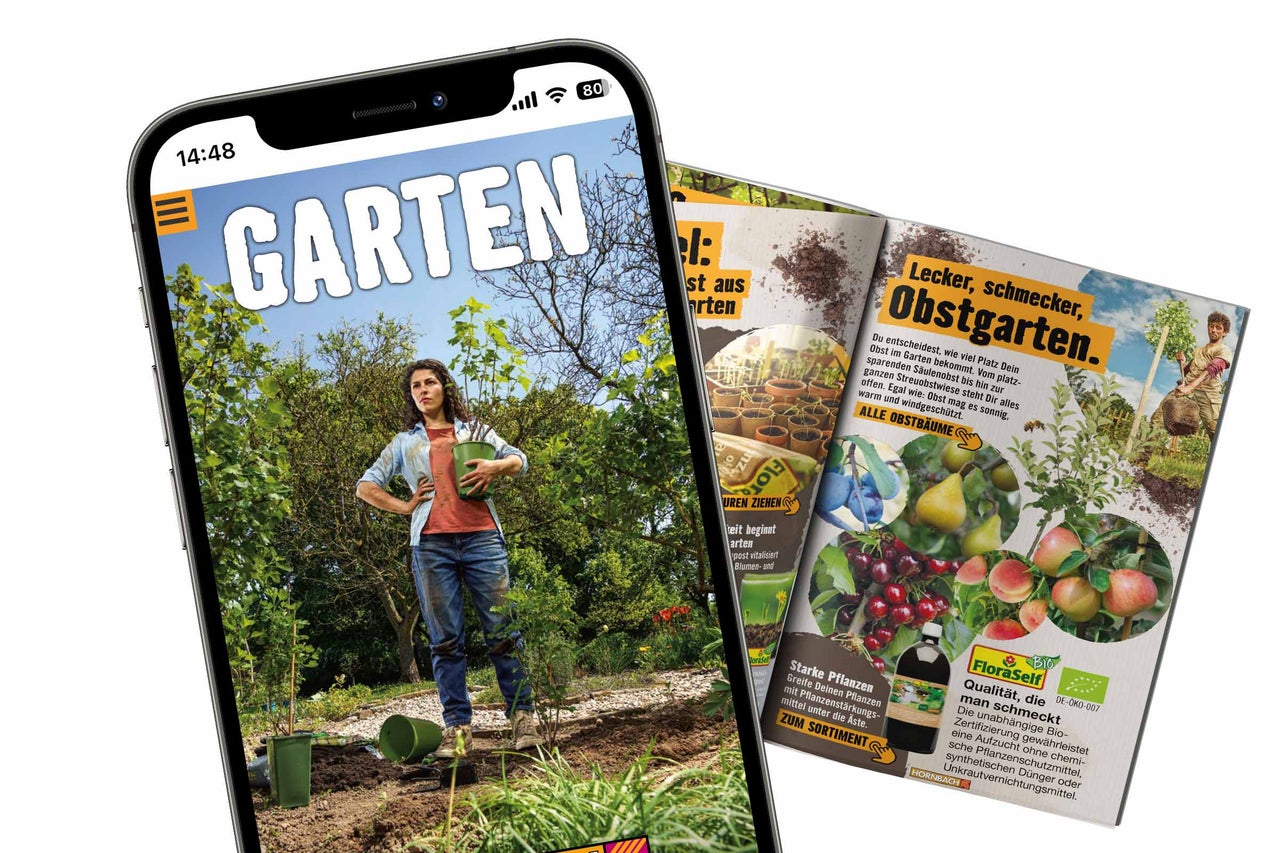 Smartphone mit digitalem Gartenkatalog und ein gedrucktes Gartenmagazin mit Themen rund um Obstgarten und FloraSelf Pflanzen.
