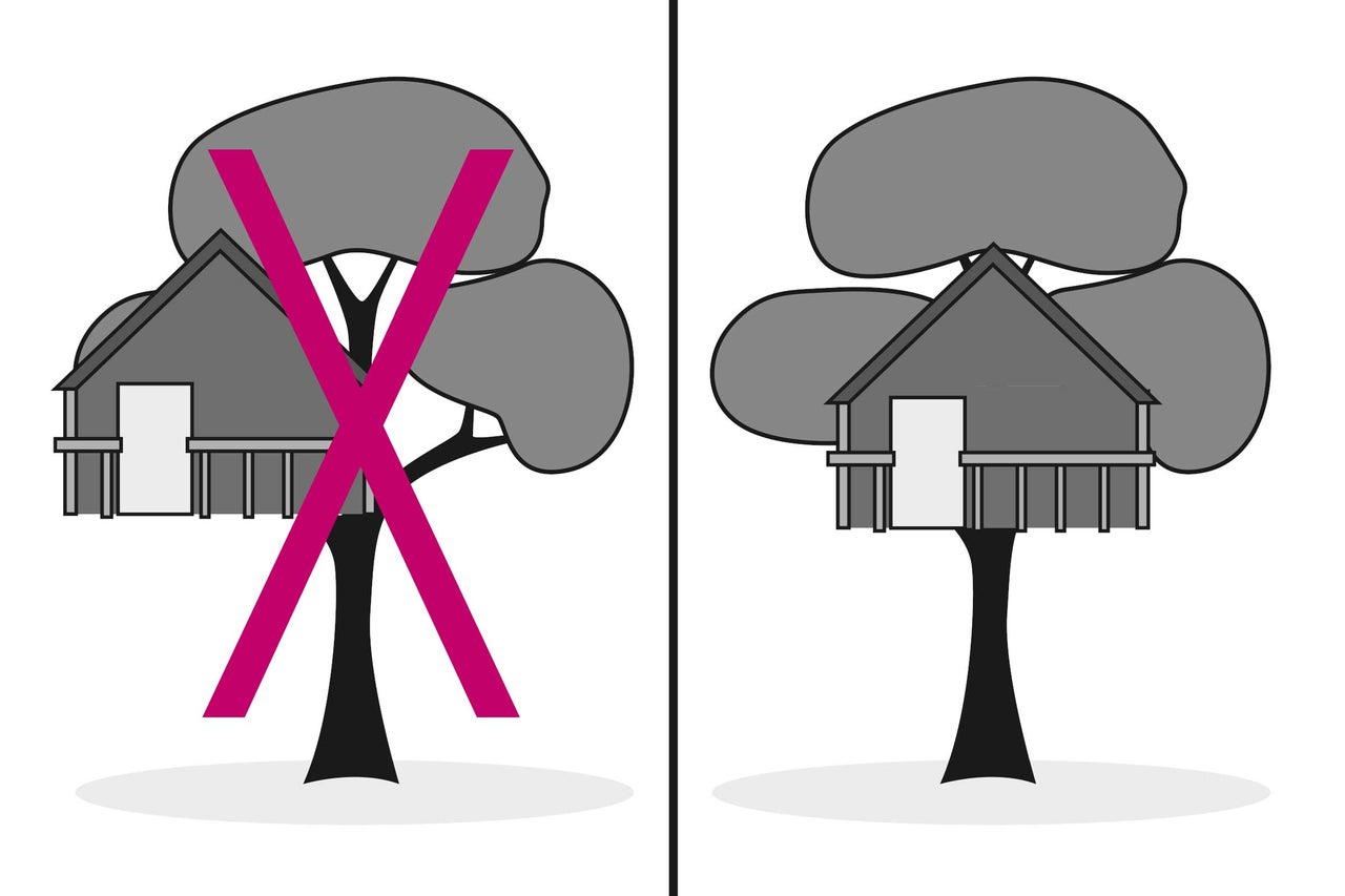 Comparaison : cabane dans les arbres non sécurisée versus cabane dans les arbres sécurisée