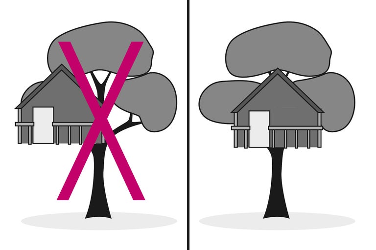 Comparaison : cabane dans les arbres non sécurisée versus cabane dans les arbres sécurisée