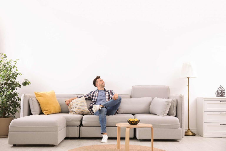 Helles Wohnzimmer mit Sofa, Beistelltisch und Zimmerpflanze