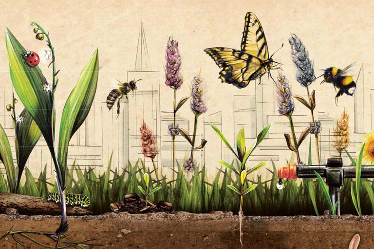 Illustration d'un paysage de jardin avec des fleurs, des insectes et un système d'irrigation