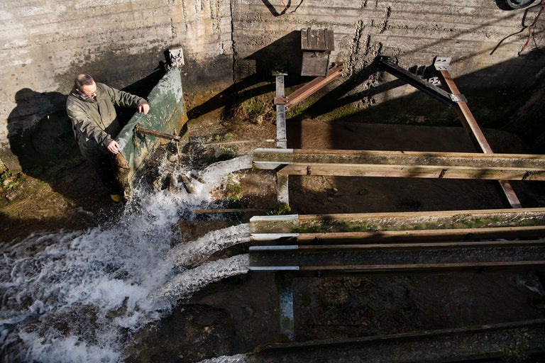 Mann reguliert Wasserlauf mit Schleusentor