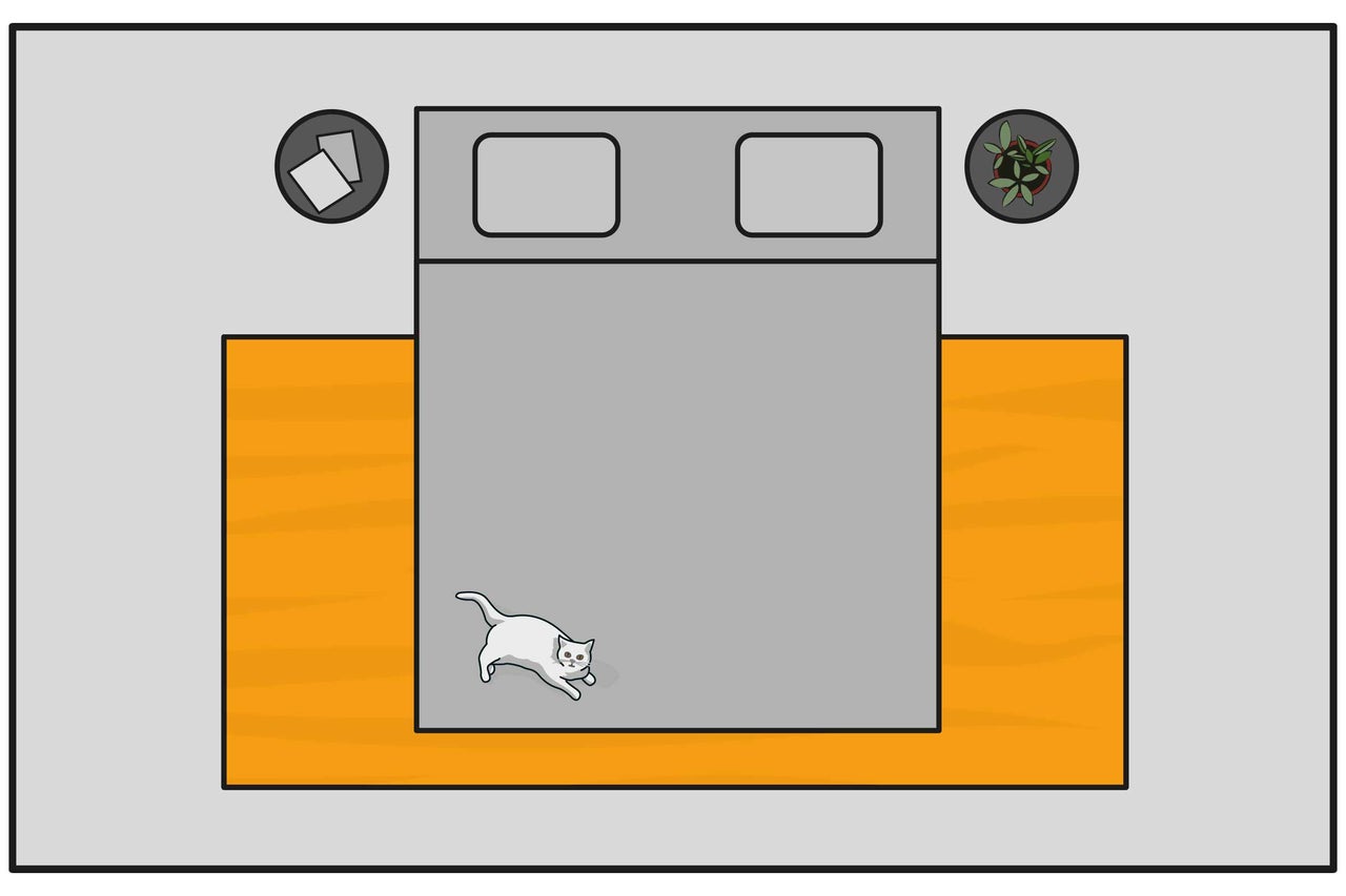 Vue de dessus d'une chambre avec un lit, un tapis, des tables de chevet, des plantes et un chat