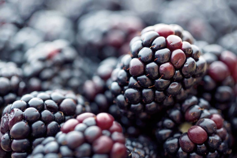 Nahaufnahme von Brombeeren