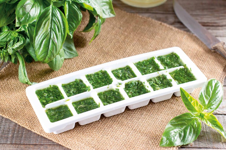 Bac à glaçons avec basilic congelé sur une table