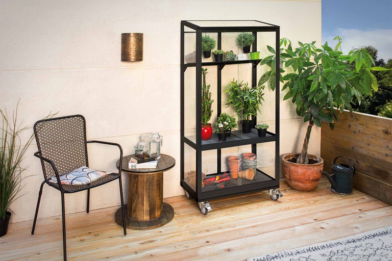 Scène de balcon avec étagère à plantes, plantes, chaise et table