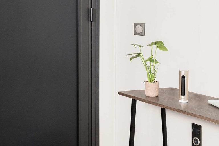 Intérieur avec table, plante d'intérieur et station météo Netatmo