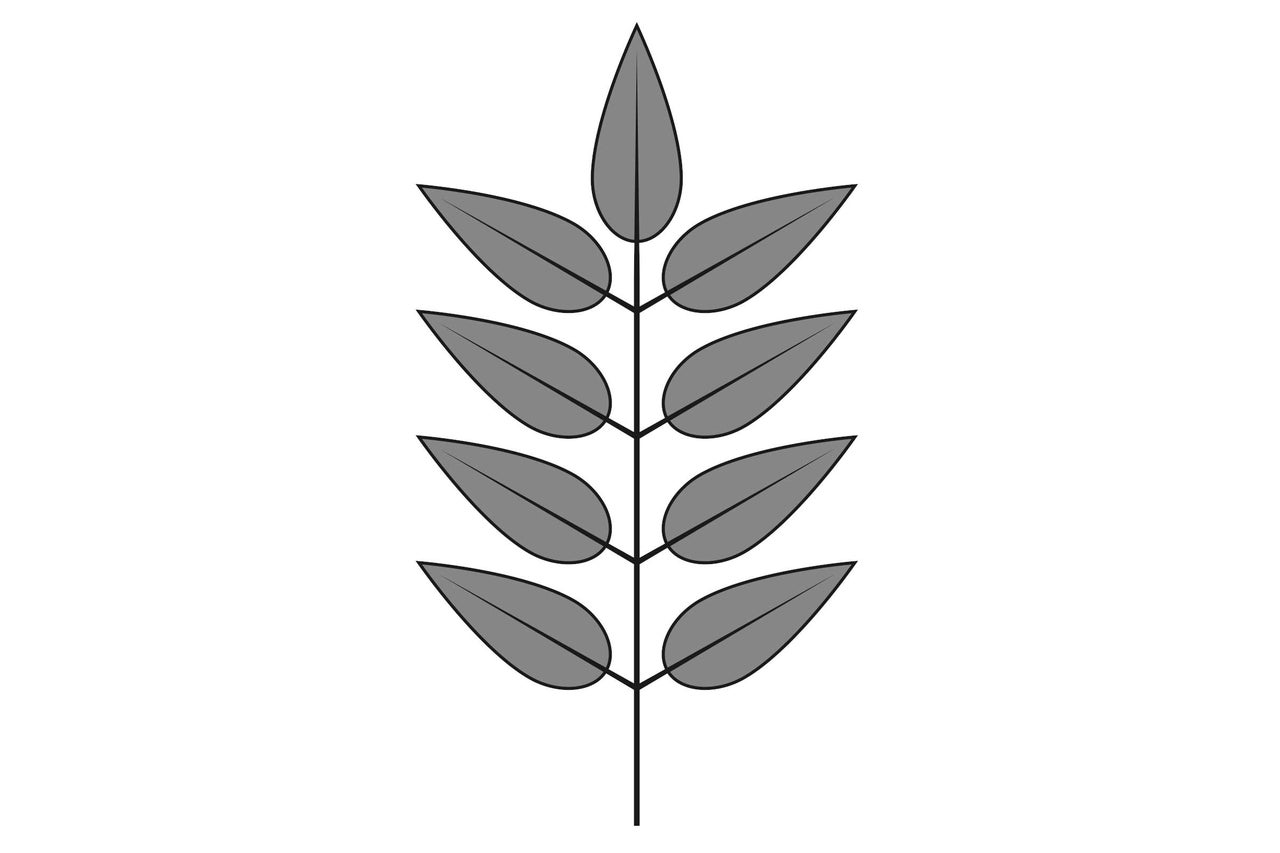 Motif de feuille