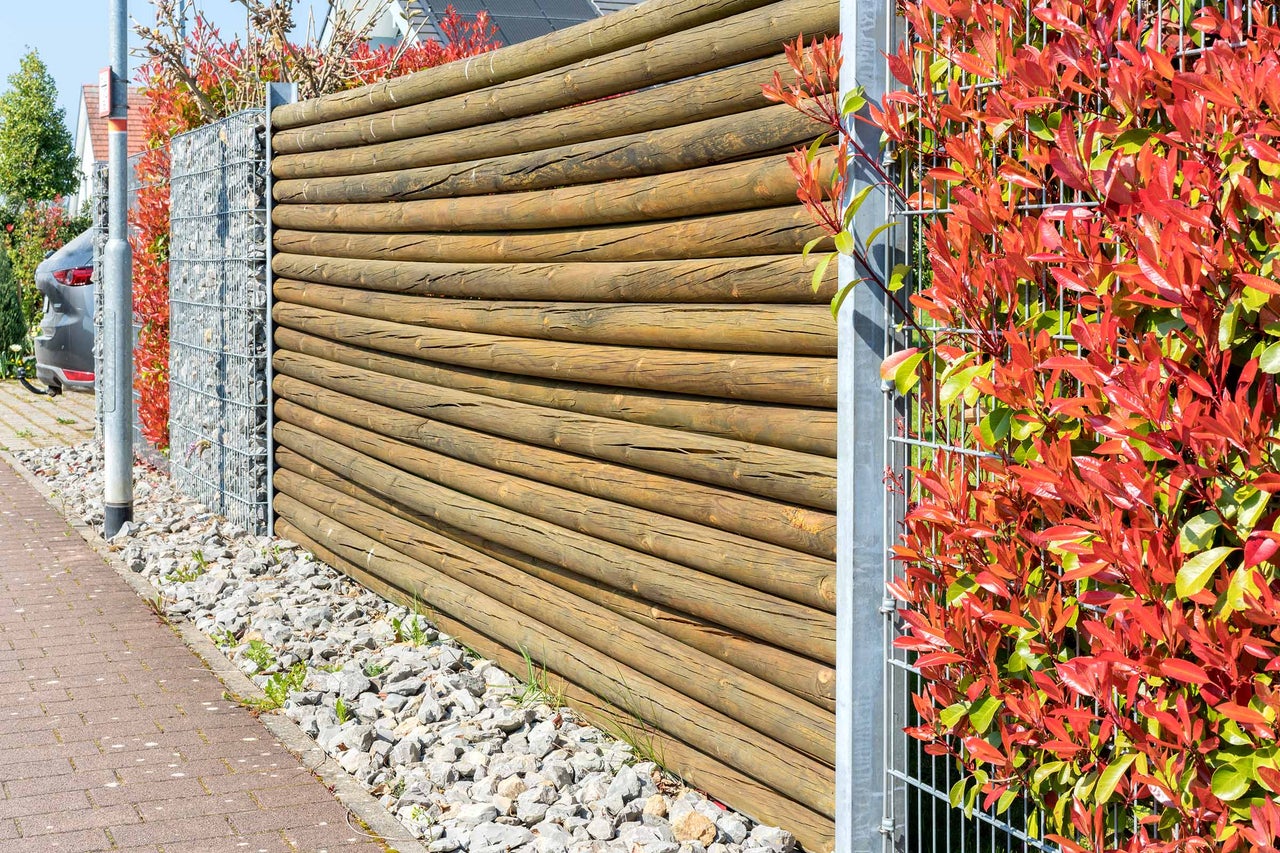Vue de jardin avec clôture en bois, gabions et plantations