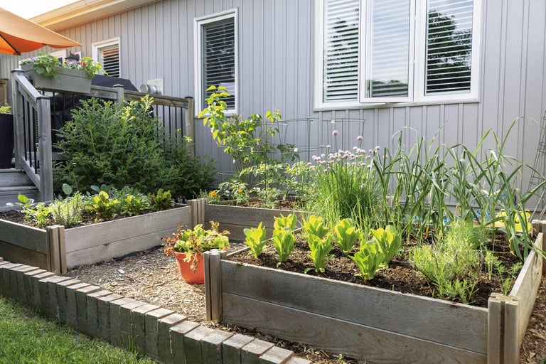 Garten mit Hochbeeten und verschiedenen Gemüsesorten.