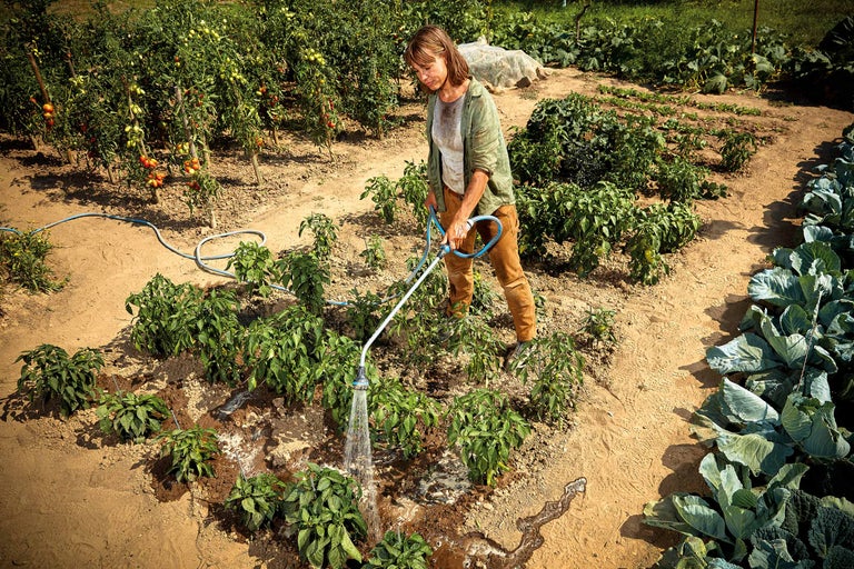 Eine Frau giesst Pflanzen in einem Gemüsegarten mit einem Gartenschlauch.
