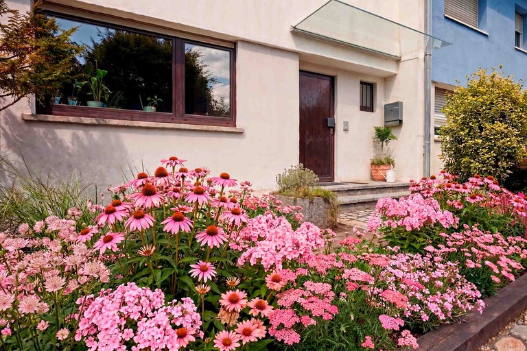 Parterre de fleurs luxuriant avec des échinacées roses et des phlox devant une maison claire avec un auvent en verre et une porte en bois sombre.