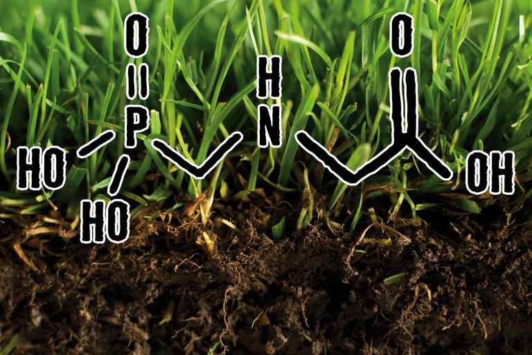 Représentation d'une formule chimique devant du gazon et de la terre