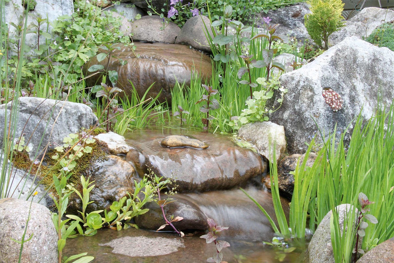 Ruisseau de jardin avec pierres et plantes