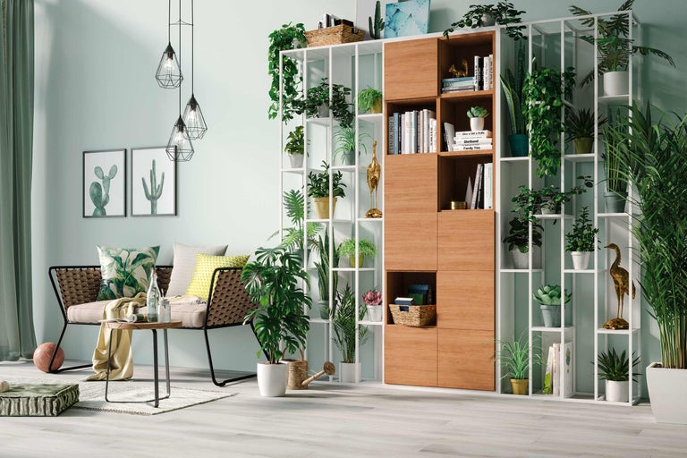 Mur végétal: créer soi-même un jardin mural intérieur