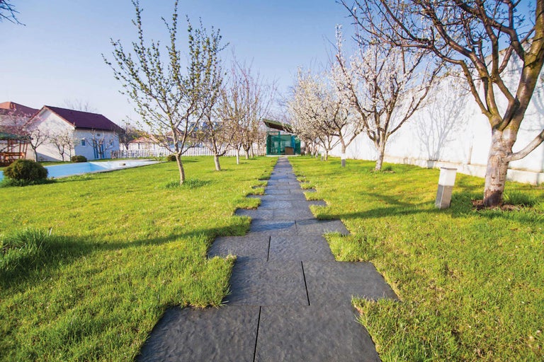 Aménagement paysager de jardin avec pelouse et allée de dalles de jardin