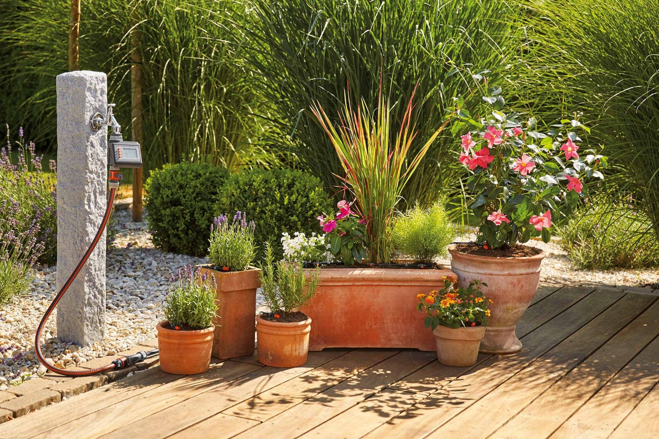 Système d'irrigation de jardin avec robinet, tuyau et diverses fleurs en pots de terre cuite sur une terrasse en bois