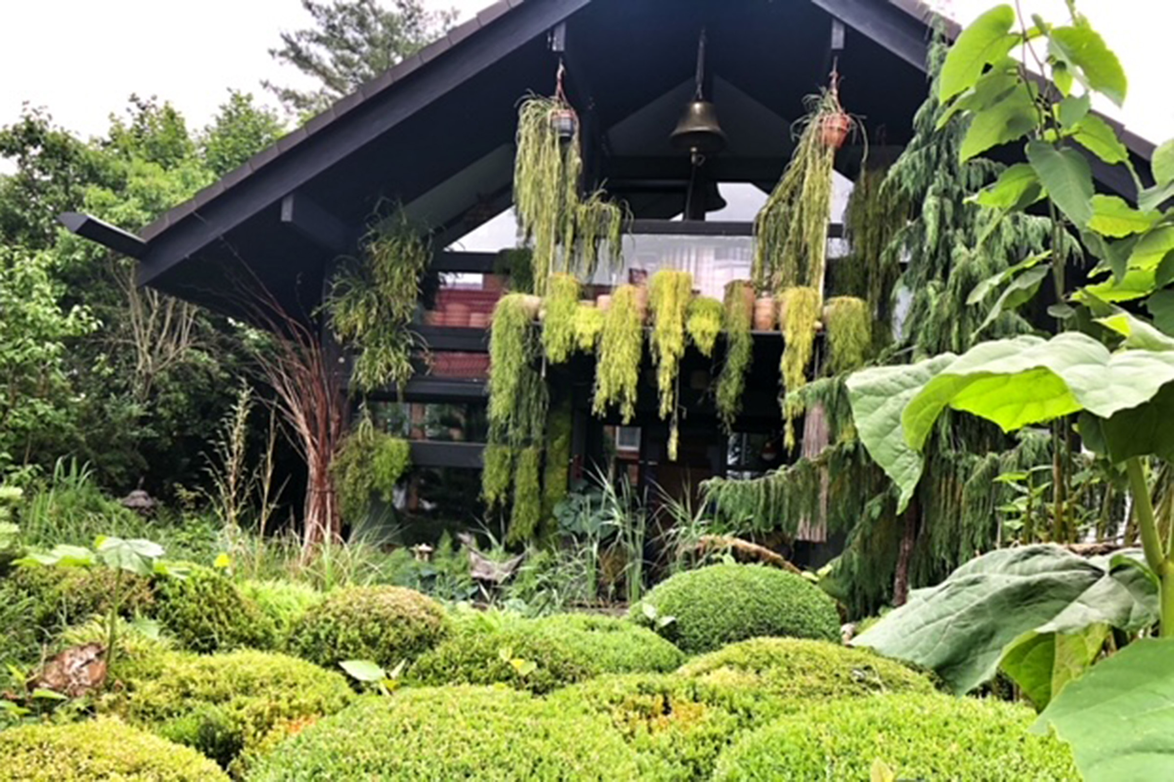 Gartenhaus mit Moos und Hängepflanzen