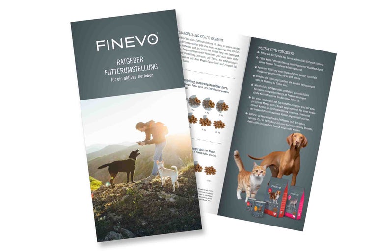 Guide Finevo sur le changement d'alimentation pour une vie animale active