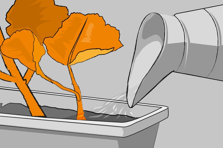 Bewässerung von Pflanzen in einem Pflanzkasten mit einer Gießkanne