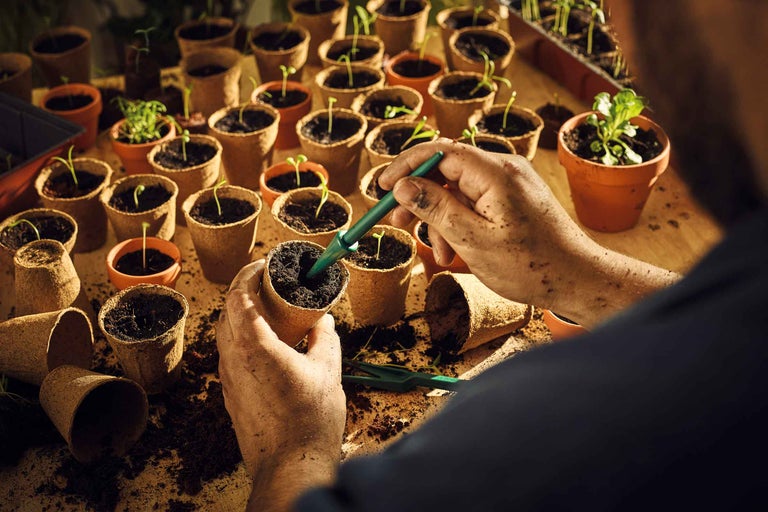Une personne remplit des pots de culture avec de la terre pour la culture des plantes.