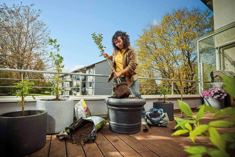 Frau pflanzt Baum auf einem Balkon in einen Topf mit Pflanzerde.
