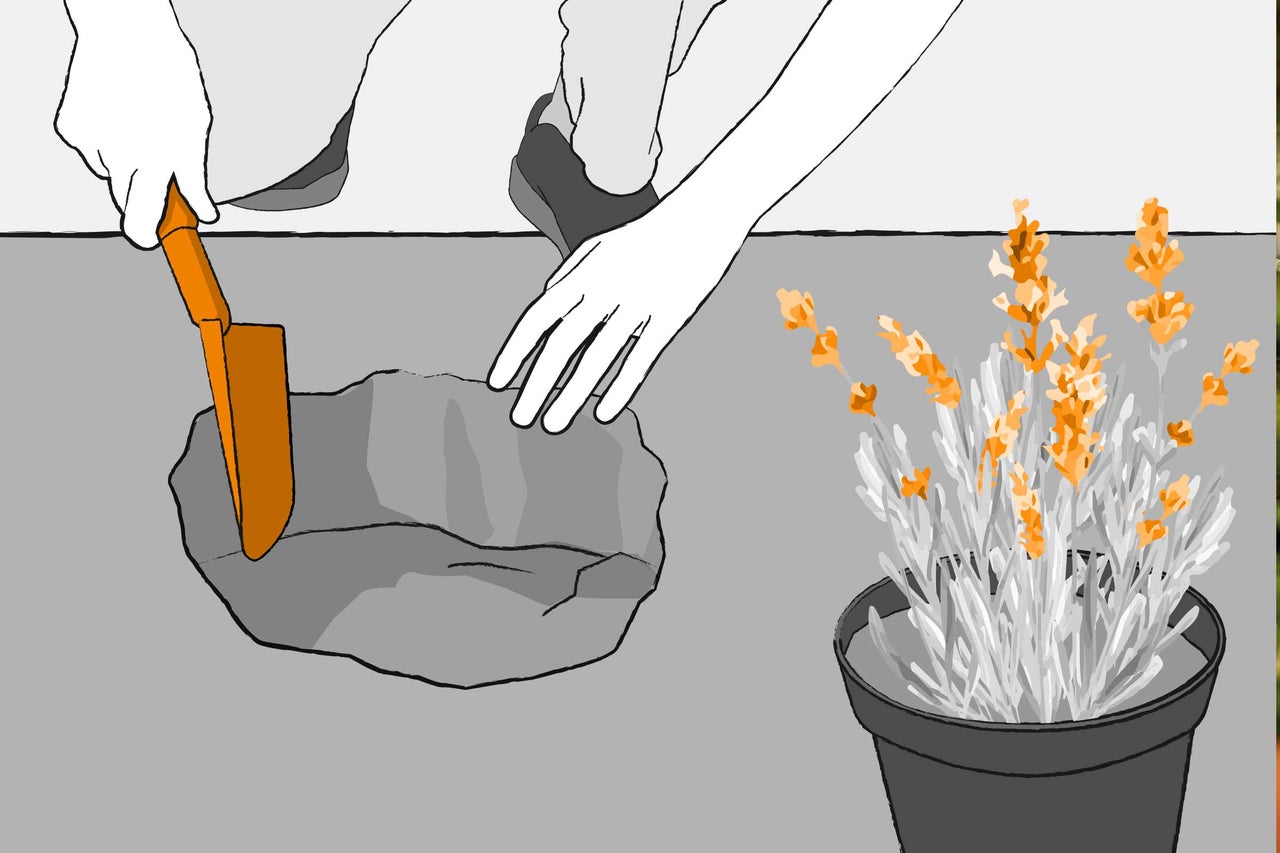 Illustration eines Gartenarbeiters, der eine Pflanze in einen Steingarten pflanzt