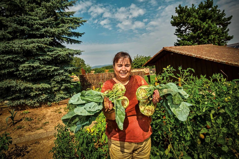 Eine Frau hält im Garten Kohlrabis in der Hand