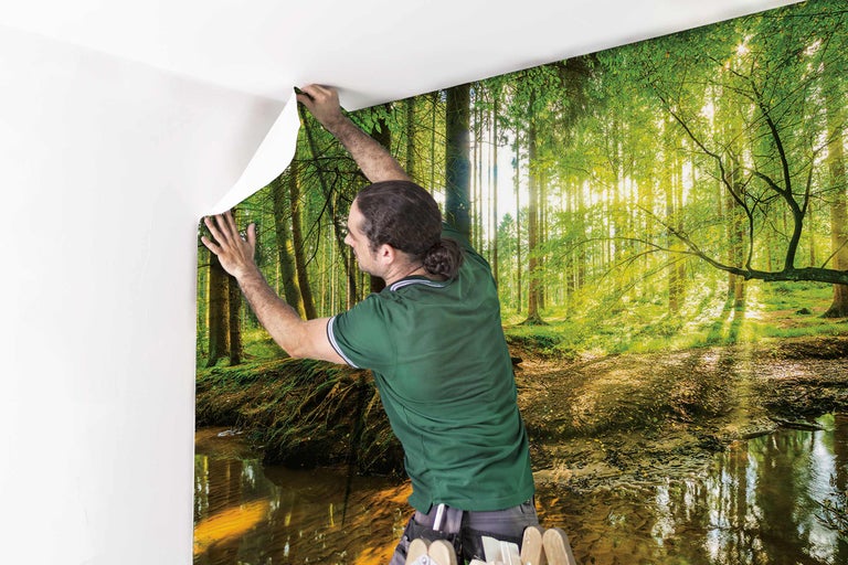 Une personne fixe un papier peint photo avec un motif de forêt sur un mur.