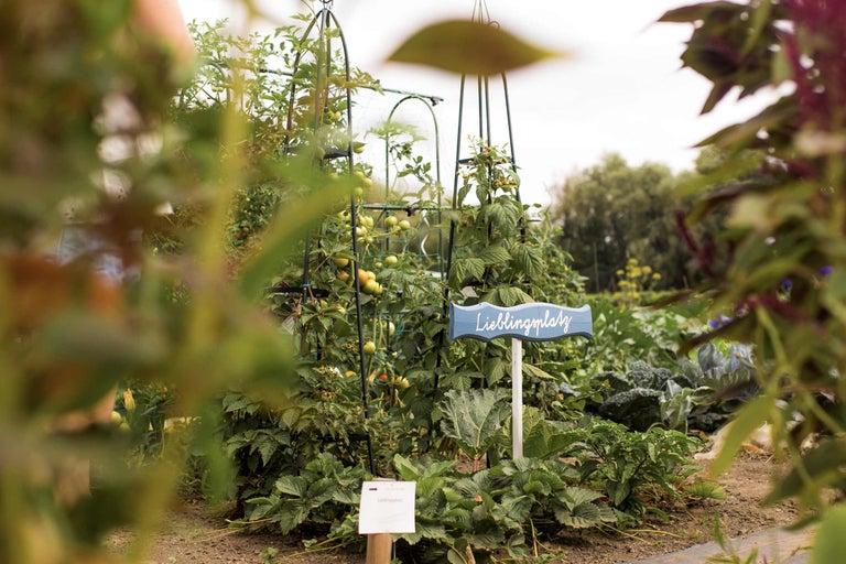 Garten mit Gemüsebeeten und Rankhilfen