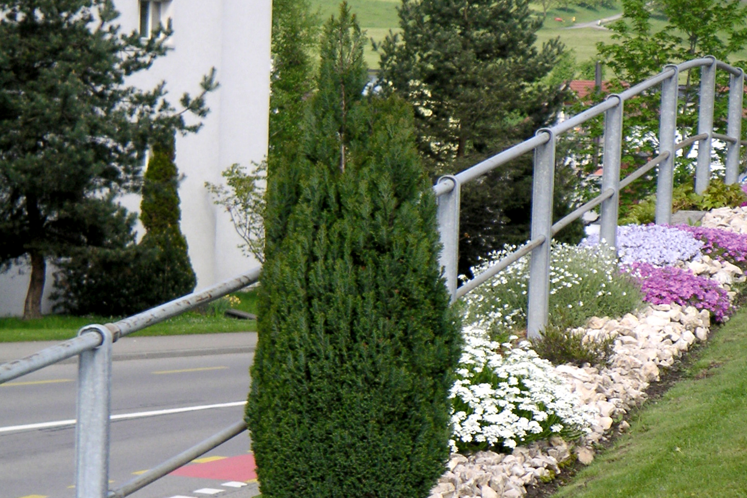 Aussenaufnahme einer Gartenanlage mit Steingarten und verschiedenen Pflanzen