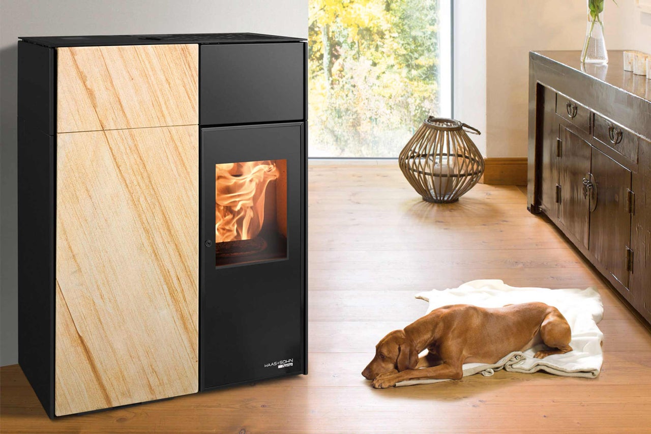 Poêle à bois avec feu de bois et chien dans une pièce d'habitation