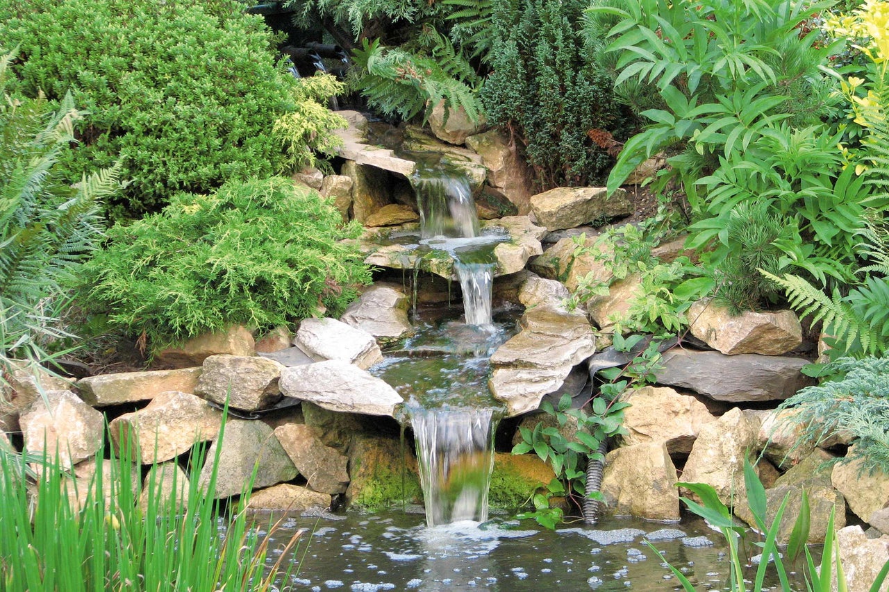 Bassin de jardin avec cascade et rochers