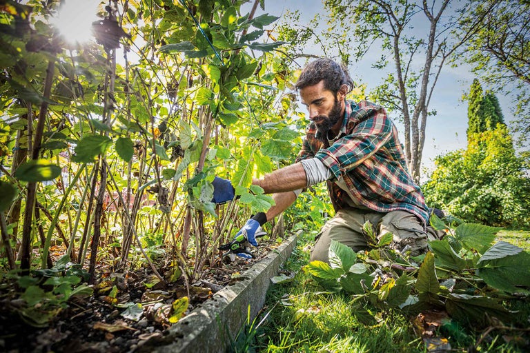 Ein Mann kniet im Garten und beschneidet eine Hecke mit einer Gartenschere.