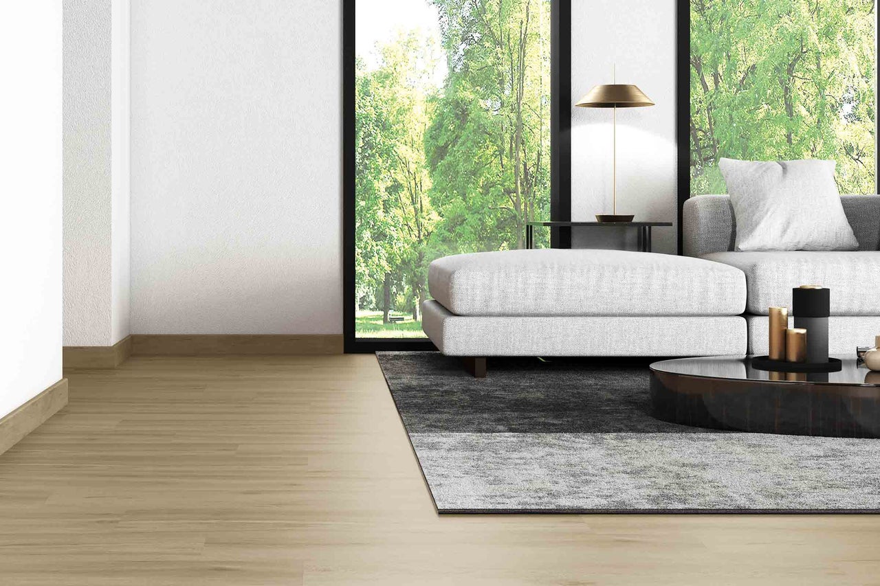 Salon avec canapé, tapis et parquet en bois