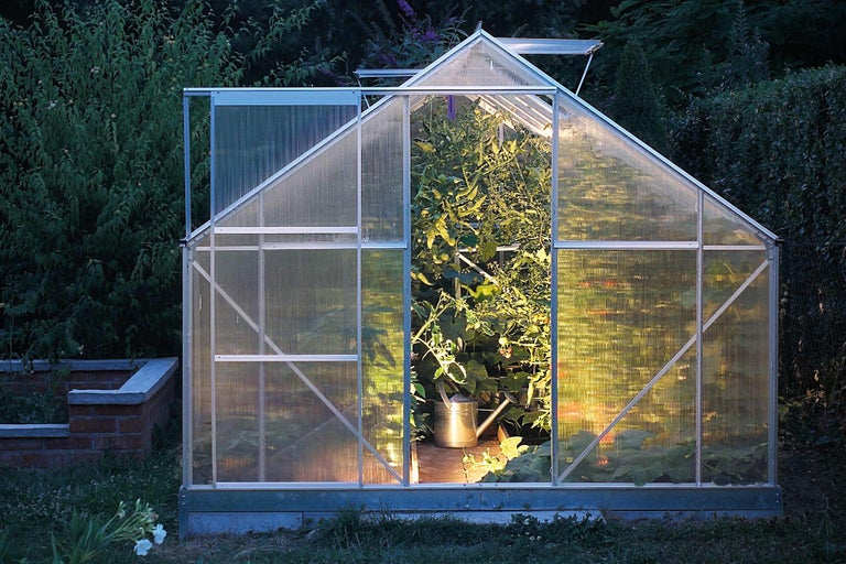 Serre avec porte ouverte et plantes à l'intérieur