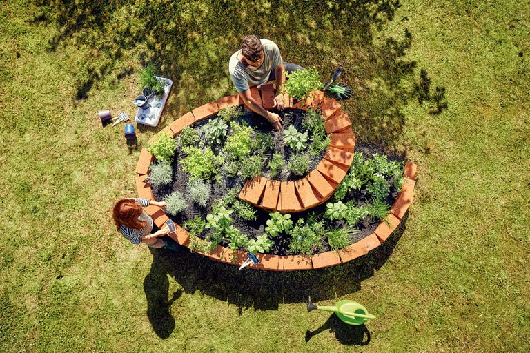 Vue de dessus de deux personnes plantant un jardin d'herbes aromatiques en spirale dans le jardin