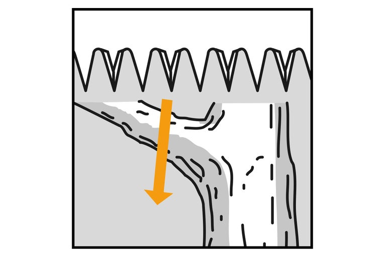 Symbolbild für die empfohlene Schnittrichtung eines Astes