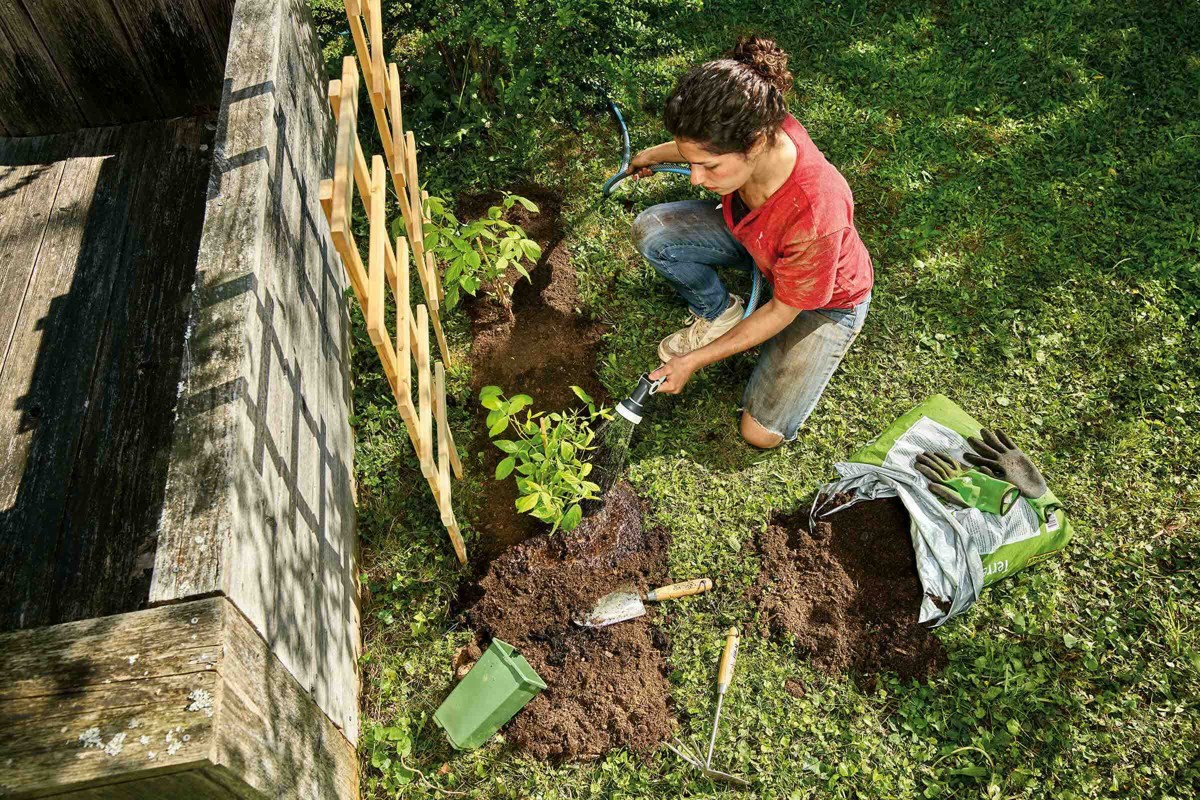 Femme arrose une plante dans le jardin avec un tuyau d'arrosage, à côté d'un support à plantes grimpantes, d'outils de jardinage et d'un sac de terreau.