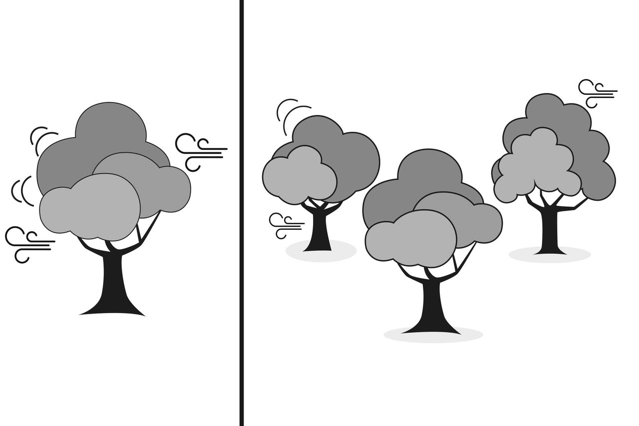 Illustration d'arbres dans le vent
