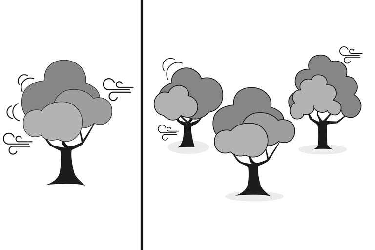 Illustration d'arbres dans le vent
