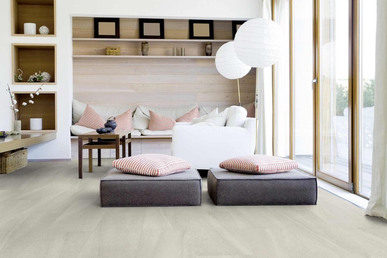 Salon lumineux avec coussins de siège, canapé et étagères