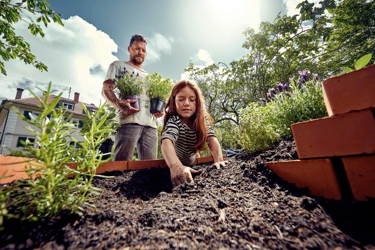 Un père et sa fille plantent des herbes et de la terre dans un potager surélevé dans un jardin.