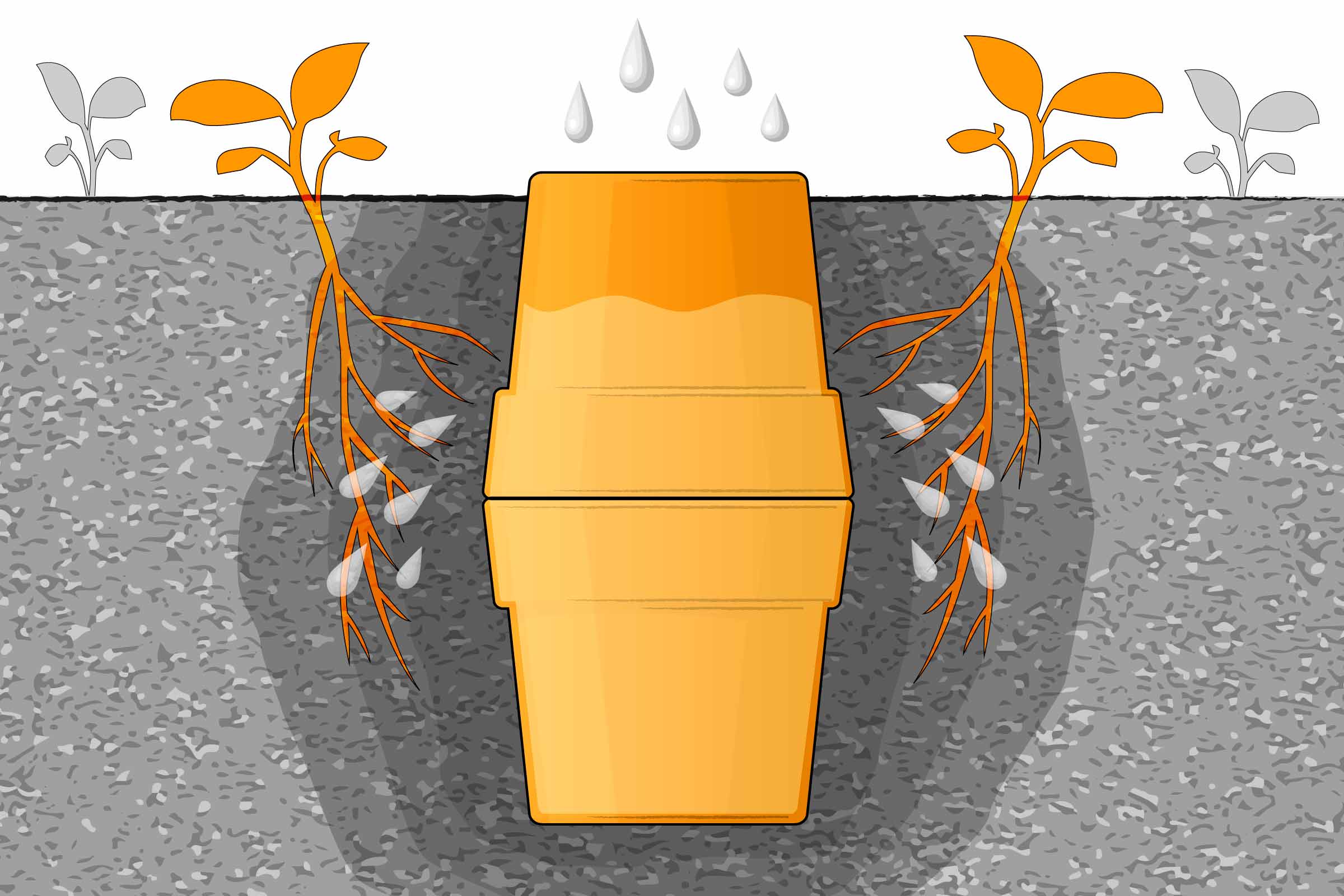 Illustration d'arrosage des plantes avec soucoupe