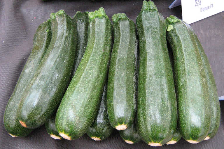 Plusieurs courgettes vertes