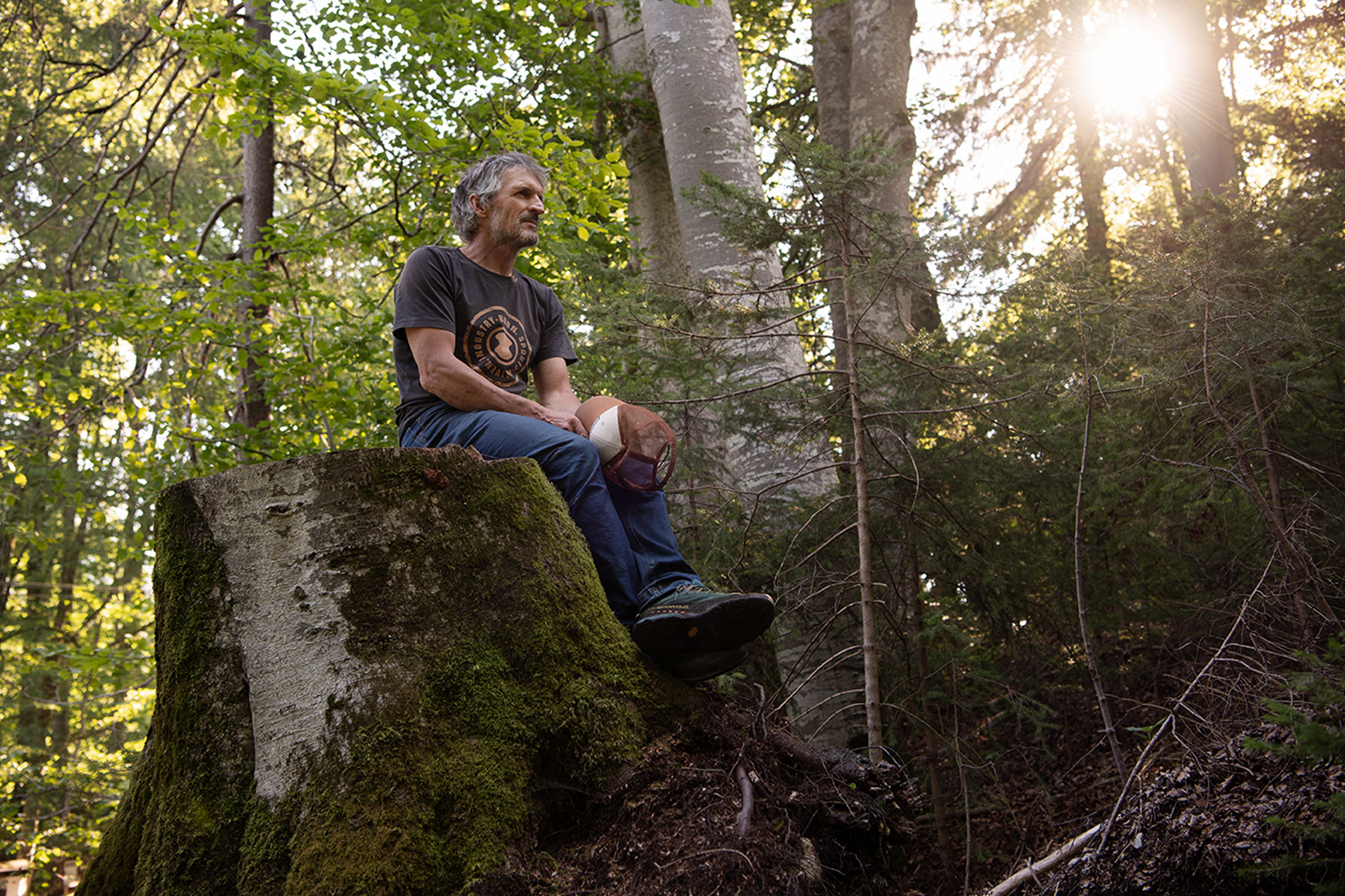 Ein Mann sitzt auf einem Baumstumpf in einem Wald.