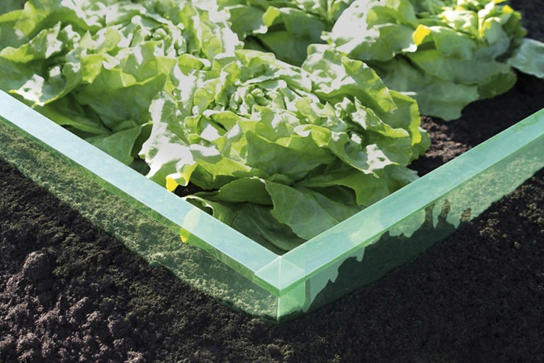 Hochbeet mit Salatpflanzen im Garten